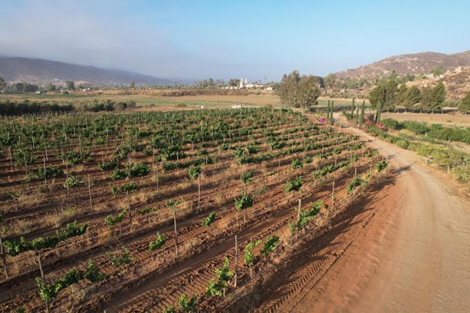 Casa Luna Vinedo Valle de Guadalupe Esterno foto