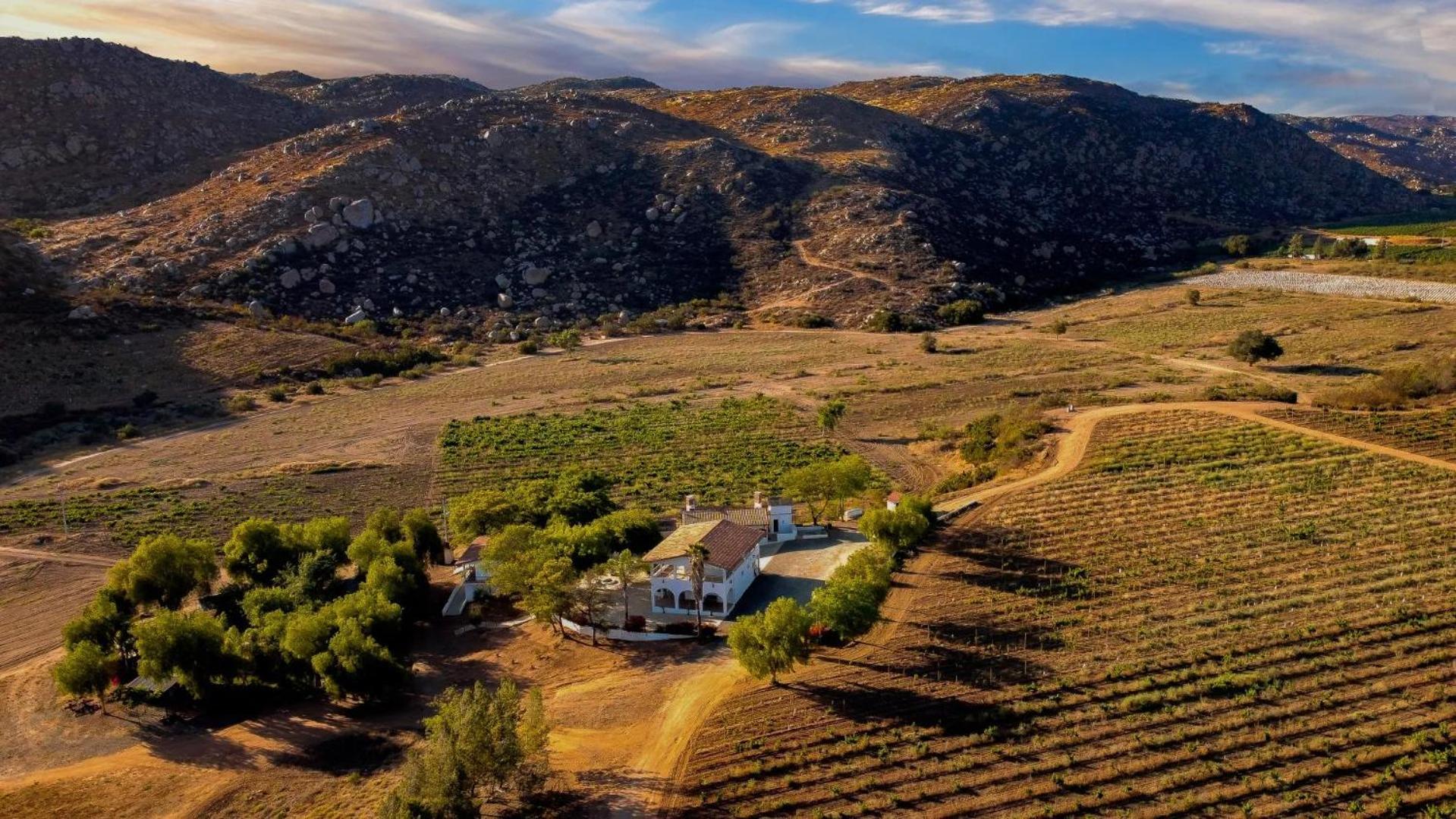 Casa Luna Vinedo Valle de Guadalupe Esterno foto